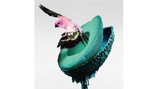 神はサイコロを振らない/心海(初回限定盤B)(2Blu-ray Disc付)