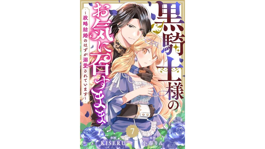 Berry’s Fantasy 黒騎士様のお気に召すまま〜政略結婚のはずが溺愛されています〜(分冊版)(単話)