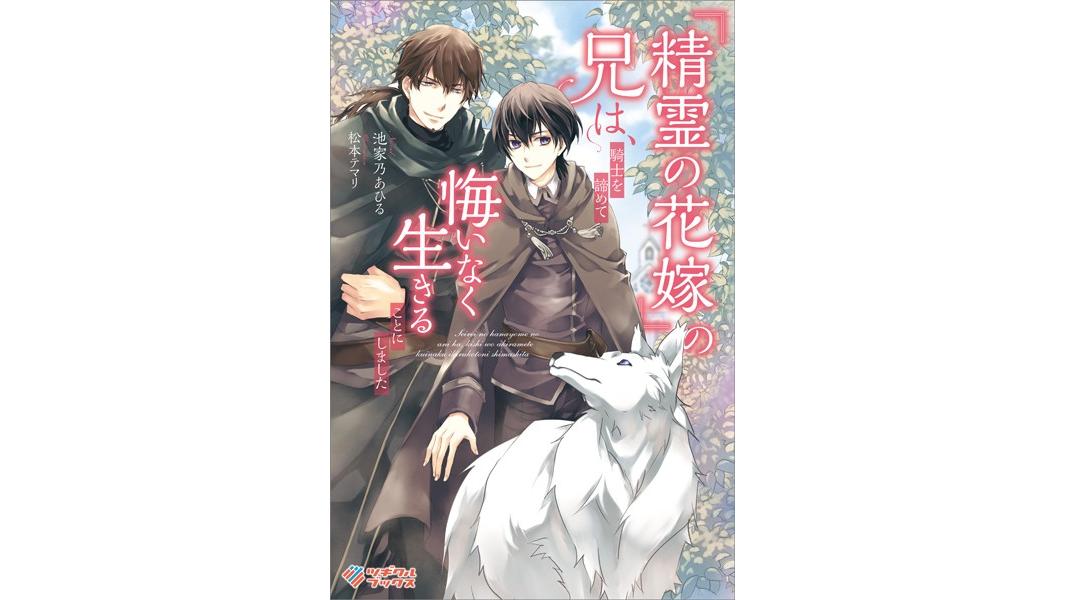『精霊の花嫁』の兄は、騎士を諦めて悔いなく生きることにしました