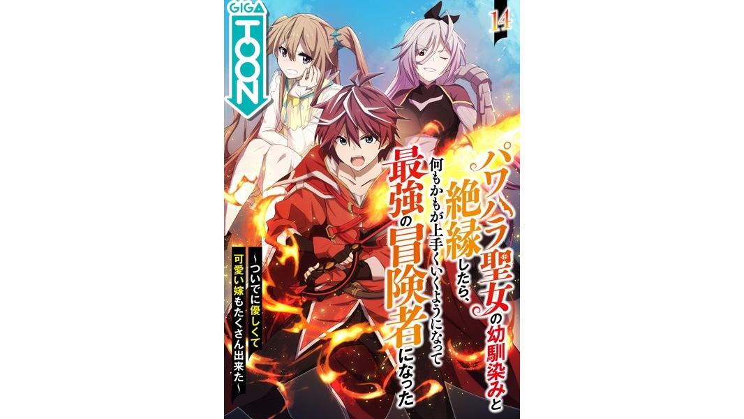 パワハラ聖女の幼馴染みと絶縁したら、何もかもがうまくいくようになって最強の冒険者になった 〜ついでに優しくて可愛い嫁もたくさん出来た〜