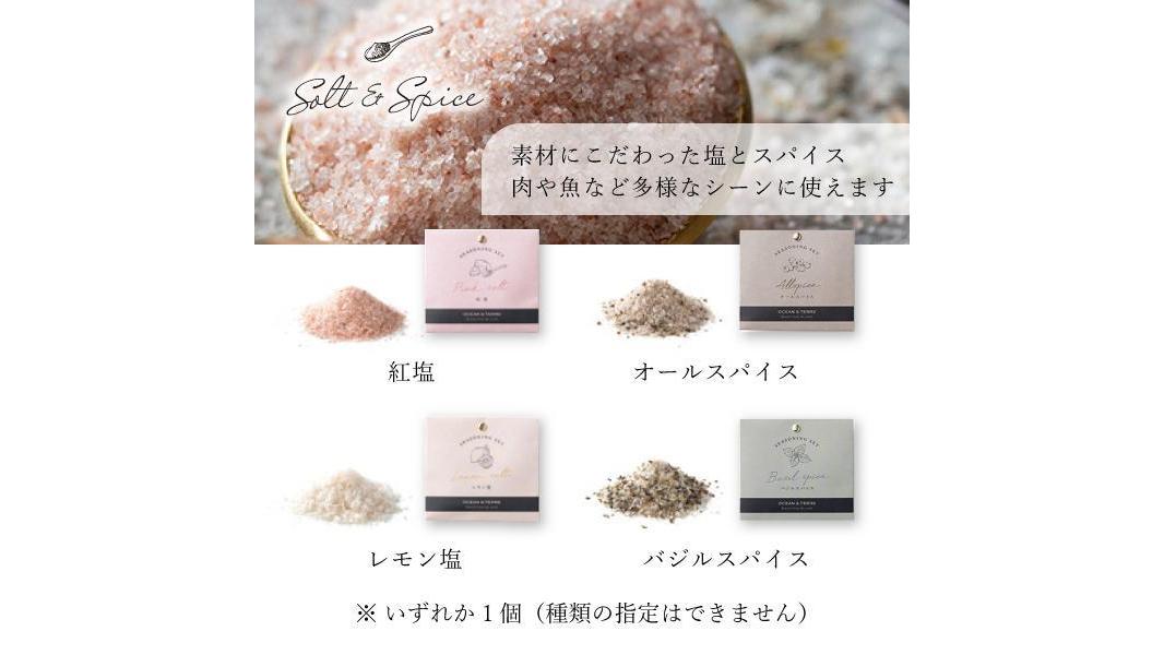 【81ポイント還元中】塩&スパイス 1個 ブライダル 記念品 引き出物 内祝い 内祝 プチギフト 縁起物 お祝い 御祝 快気祝い